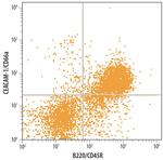 CEACAM1 Antibody in Flow Cytometry (Flow)