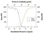 IL-2 Antibody