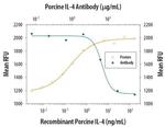 IL-4 Antibody