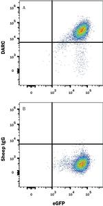 DARC Antibody in Flow Cytometry (Flow)