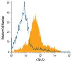 CELSR2 Antibody in Flow Cytometry (Flow)