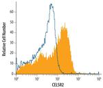 CELSR2 Antibody in Flow Cytometry (Flow)