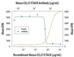 CCL27 Antibody