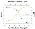 IFNGR2 Antibody in Neutralization (Neu)