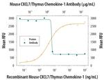 PPBP Antibody in Neutralization (Neu)