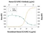 CCL16 Antibody in Neutralization (Neu)