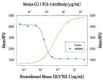 CCL1 Antibody