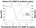 MIP-3 beta Antibody in Neutralization (Neu)