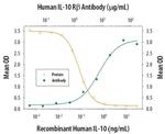 MIP-3 beta Antibody