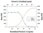 IL-12 p70 Antibody