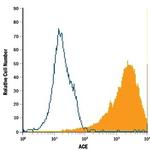 ACE Antibody in Flow Cytometry (Flow)