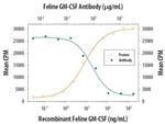 GM-CSF Antibody