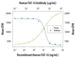 FGF16 Antibody in Neutralization (Neu)