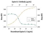 IL-5 Antibody