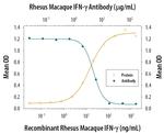 IFN gamma Antibody in Neutralization (Neu)