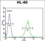 ECAT1 Antibody in Flow Cytometry (Flow)