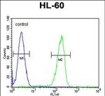 OR2F2 Antibody in Flow Cytometry (Flow)