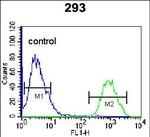 HOPX Antibody in Flow Cytometry (Flow)