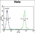 UQCRFS1 Antibody in Flow Cytometry (Flow)