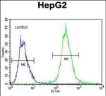 PALB2 Antibody in Flow Cytometry (Flow)