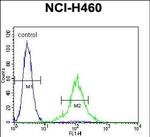 TMEM100 Antibody in Flow Cytometry (Flow)