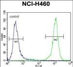 PCDHA9 Antibody in Flow Cytometry (Flow)