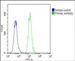 PRSSL1 Antibody in Flow Cytometry (Flow)