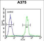 CTHRC1 Antibody in Flow Cytometry (Flow)