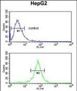 UBAP1 Antibody in Flow Cytometry (Flow)