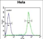 EBP Antibody in Flow Cytometry (Flow)