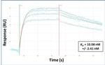 SLC26A3 Antibody in Surface plasmon resonance (SPR)