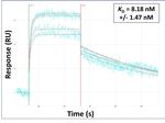 CH25H Antibody in Surface plasmon resonance (SPR)