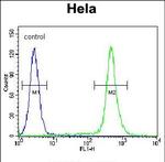 MIC-1 Antibody in Flow Cytometry (Flow)