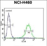 CD249 Antibody in Flow Cytometry (Flow)