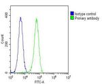 ASM Antibody in Flow Cytometry (Flow)