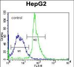 KRTAP1-3 Antibody in Flow Cytometry (Flow)