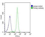 IL1RL2 Antibody in Flow Cytometry (Flow)