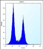 Ubinuclein 2 Antibody in Flow Cytometry (Flow)