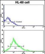 LIN28B Antibody in Flow Cytometry (Flow)