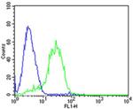 DLK1 Antibody in Flow Cytometry (Flow)