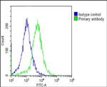 EEF1A1P5 Antibody in Flow Cytometry (Flow)