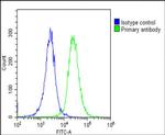 ATP1A4 Antibody in Flow Cytometry (Flow)