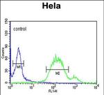 WNT5A Antibody in Flow Cytometry (Flow)