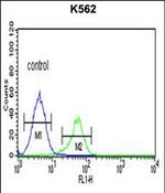 Cathepsin E Antibody in Flow Cytometry (Flow)