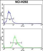 KYNU Antibody in Flow Cytometry (Flow)