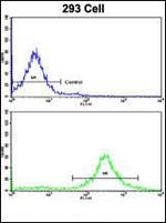 MOBP Antibody in Flow Cytometry (Flow)