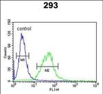 BCOR Antibody in Flow Cytometry (Flow)