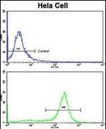 PPP2R2B Antibody in Flow Cytometry (Flow)