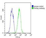 RAB7A Antibody in Flow Cytometry (Flow)