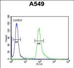 ABHD12 Antibody in Flow Cytometry (Flow)